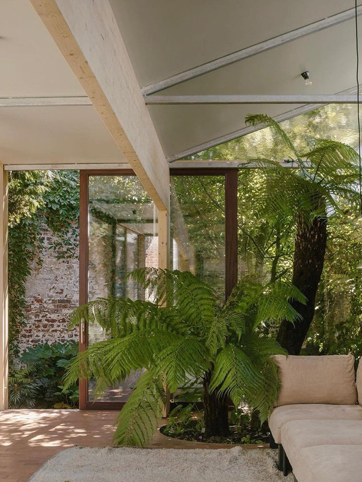 Salon lumineux à la décoration naturelle avec grandes plantes vertes et baie vitrée donnant sur un jardin, illustrant un intérieur apaisant et écoresponsable.