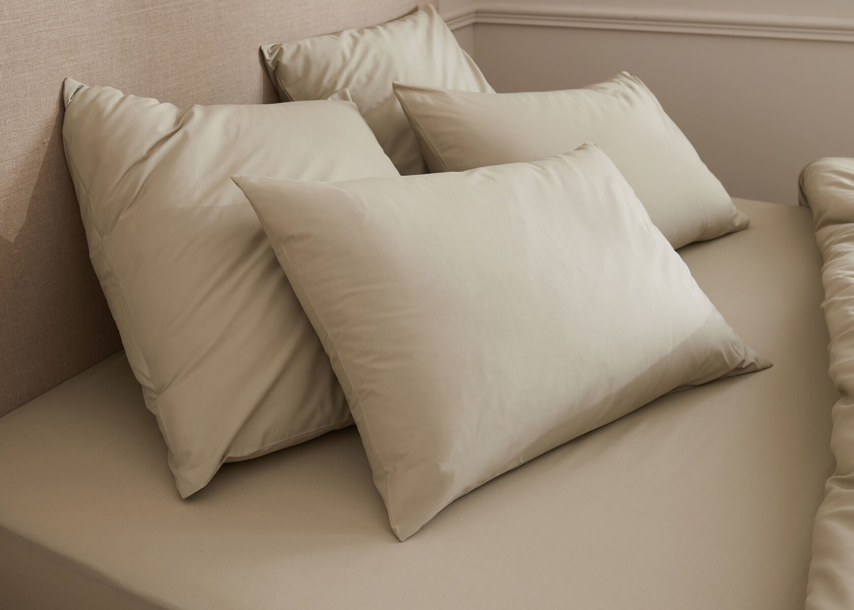 Federa in cotone bio per cuscino