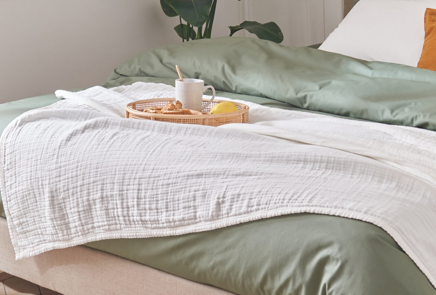 Plaid in cotone biologico TIO