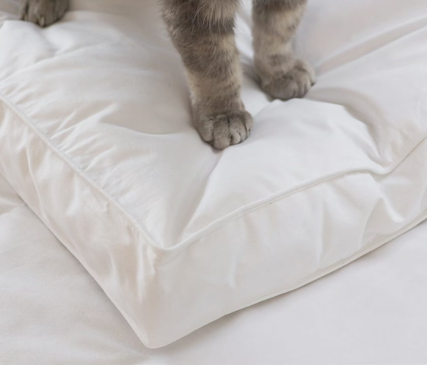 Carica video: Topper in piuma e piumino